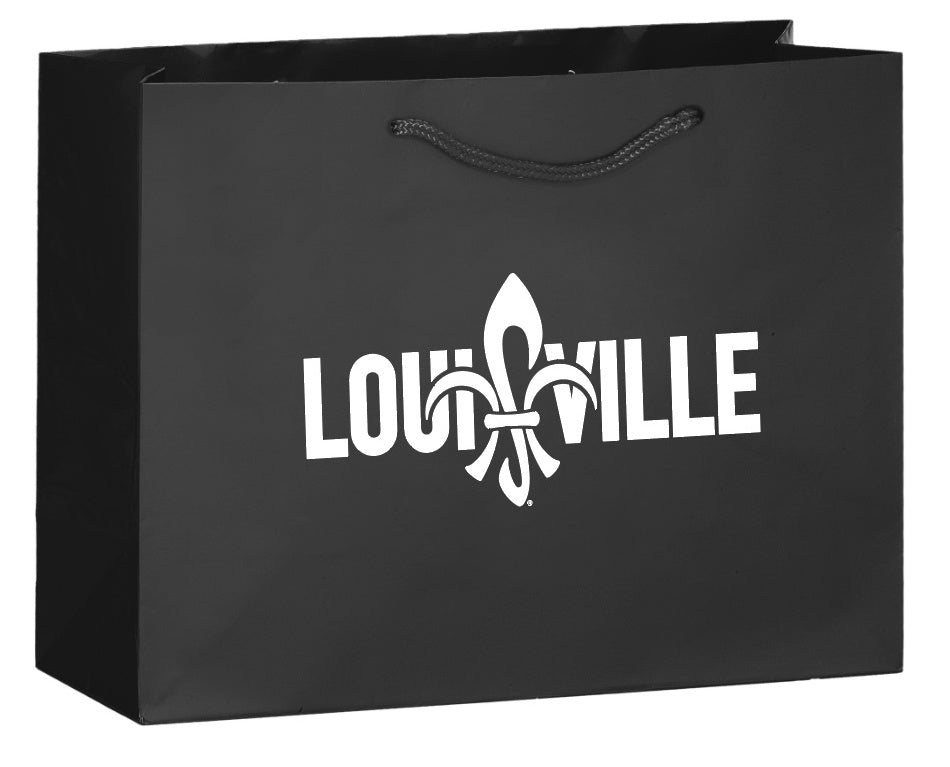 Gift Bag (13x5x10)
