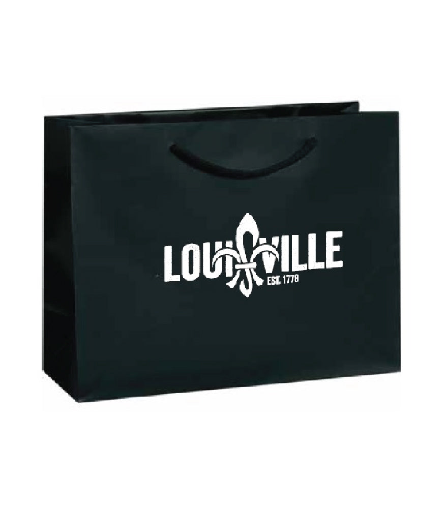 Gift Bag (13x5x10)