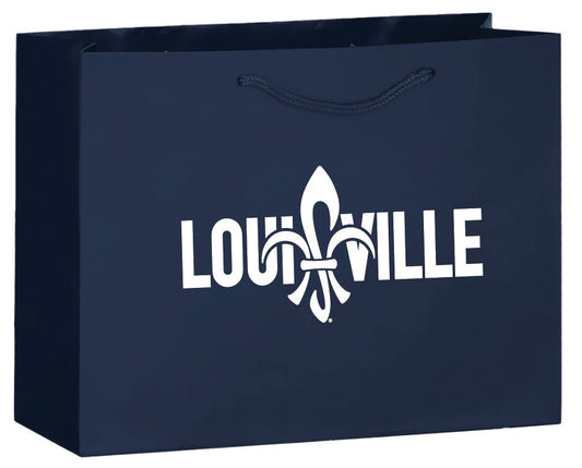 Gift Bag (13x5x10)